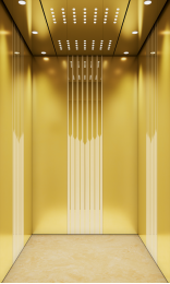 Passenger Elevator K-007 Stainless Steel + Mirror etching Gold Cabin